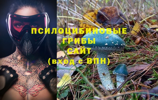 гашиш Алексин